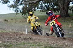 62180661_2263484817034315_1899073889334460416_o