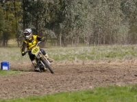 imgp7446